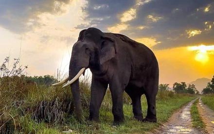 Frequently Asked Questions