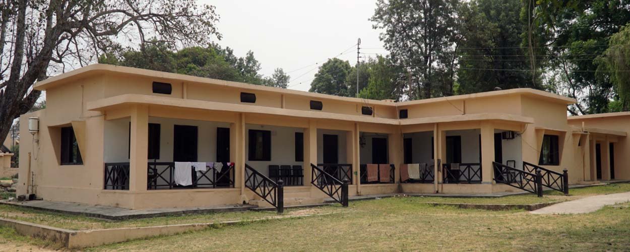 >Corbett Forest Lodges – Complete Guide to Night Stay Inside Jim Corbett National Park