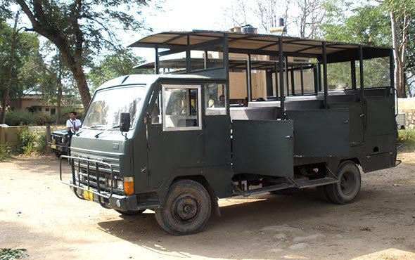 Canter Safari/Day Visit Enquiry in Jim Corbett National Park