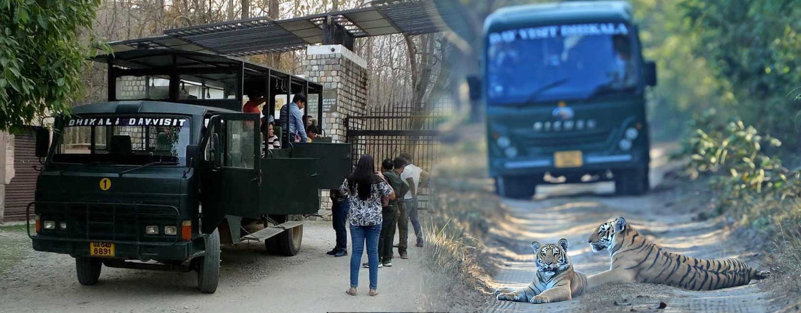 Dhikala Canter Safari Tour in Jim Corbett National Park - Complete Guide, Tariff, Timings & Terms